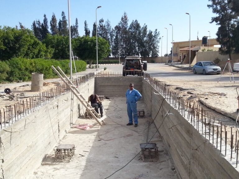 WhatsApp Image 2025-09-08 at 19.15.45_83ee04eb