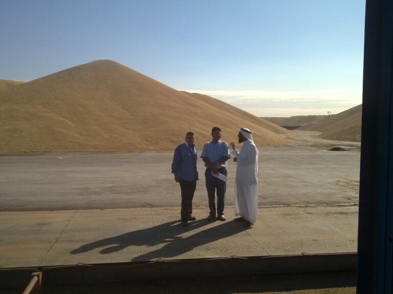 WhatsApp Image 2025-09-08 at 19.16.36_ca80510a